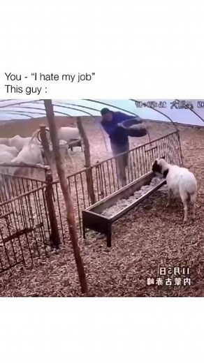 Golden on Instagram: "Nah that's personal 藍藍 @golden_modz @russian.lawyer"