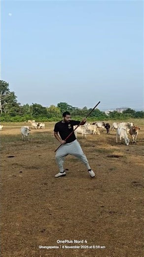 Shaolin long staff form #kungfu #martialarts #fitness #viral #viralvideo