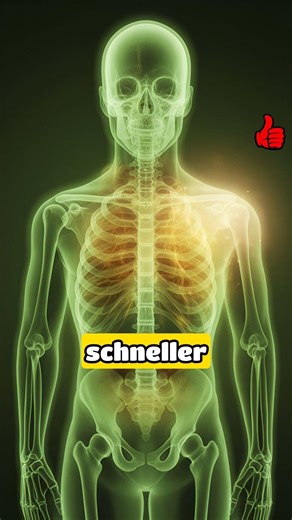 🌱 Beinwell #natur