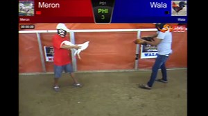 Ayam Bangkok Brajamusti Selalu Menjadi Juara di Arena Sabung Ayam Online