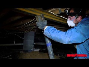 Steel Support Columns