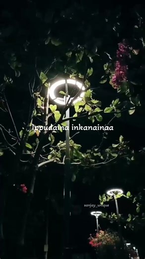 sanjay unique enterprises🖋️ on Instagram: "Happy movie. ❤️🫵🏻🥀... Do follow me @sanjay _unique"