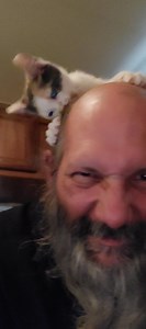 Dad: seriously? Uno: I'm redo your furs. Dad: I don't have any furs. Uno: you getters less now. | Midnight the Rescue Panther