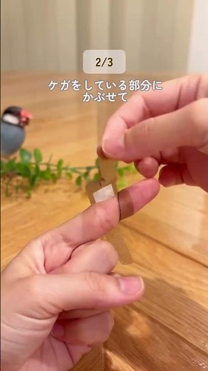 【もう絶対にズルッと剥がれない！】指先に100%ガチッと密閉フィット？普通の絆創膏にハサミを入れるだけで隙間ゼロに変える魔法の引き算ライフハック3選 🩹✨