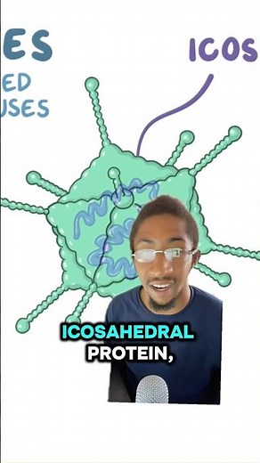 ADENOVIRUS 🦠 #virus #medical #science #detroit #greenscreen #biology