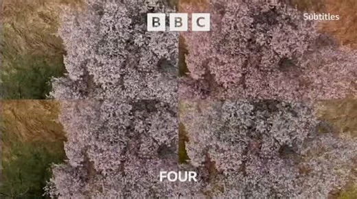 BBC Four - Japan Season 2