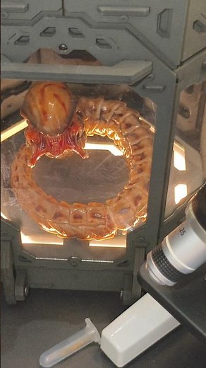 AVP | Alien vs Predator | The Hybrid Chestburster | life size