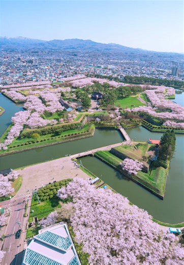 函館の五稜郭で桜を楽しむ春の旅