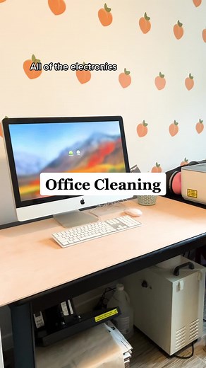 Not the Worst Cleaner on TikTok