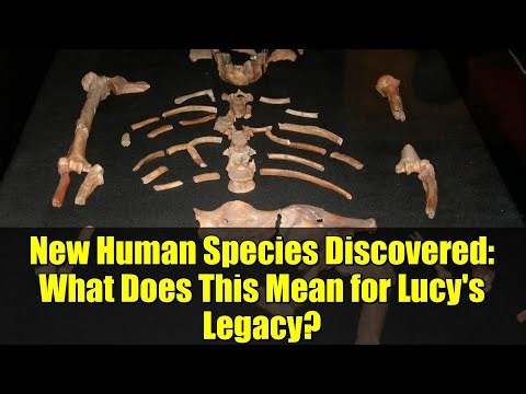New Human Species Discovered: What Does This Mean for Lucy's Legacy? | Archaeology Breakthrough