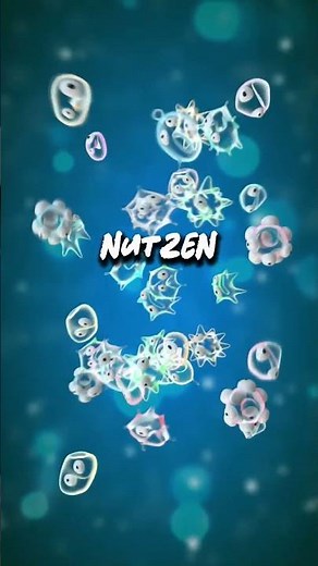 Deine Blutgruppe ist der Überlebens-Code deiner Vorfahren