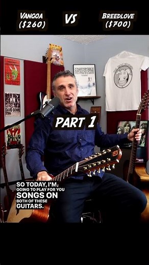 Cheap 12 string vs expensive 12 string #shorts