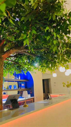 Pick your color! 🌈✨ Did you know our enchanted bar changes color? Set the mood your way while you enjoy a handcrafted cocktail or mocktail beneath our signature enchanted tree. ✨ A vibe like no other ✨ Custom lighting for your celebration ✨ Perfect for weddings, birthdays, and unforgettable nights Schedule your tour today and let’s start planning your celebration. ✨ The Enchantment Room ✨ 🌐 www.TheEnchantmentRoom.com