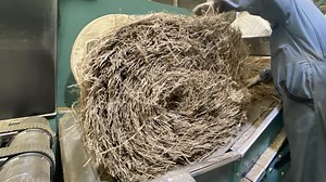 Le lin, c’est quoi?