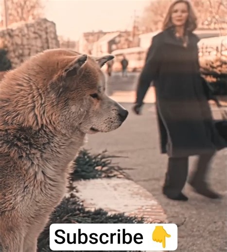 Trending Smooth Text Dissolve Animation Tu...