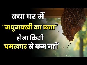 Is it auspicious or inauspicious to have a beehive in the house?