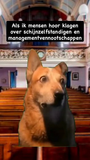 POV: werkt al 5 jaar voor dezelfde klant als ‘freelancer’ | Starter Network