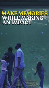 Unlimited admission. Unlimited fun. An Audubon Memberships is your pass to sea lion splashes at Audubon Zoo, penguin waddles at Audubon Aquarium, & more. Your next adventure is closer than you think! | Audubon Nature Institute