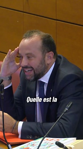 1.5M views · 43K reactions | Quand la xénophobie est un fonds de commerce électoral, ça nous amène à dire n'importe quoi. Les personnes étrangères dans notre pays créent de la richesse, elles travaillent, cotisent, payent des impôts. L’extrême droite est incompétente, en plus d’être raciste. | Marianne Maximi | Facebook