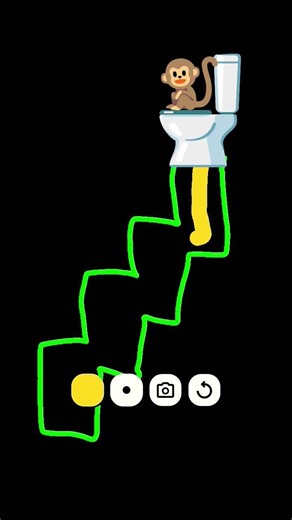 A pooping monkey #funny