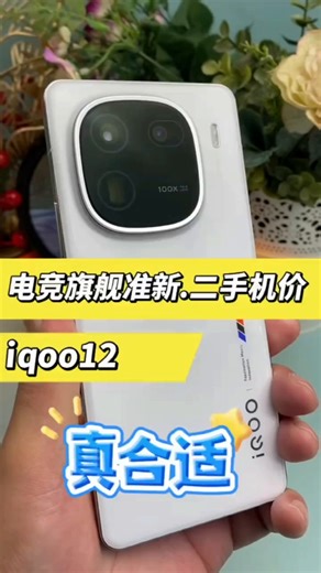 vivo iQOO12 iQOO12Pro 二手5G手机 第三代骁龙8 144Hz自研电竞芯片Q1 【iQOO12】传奇版 16GB 512GB 99新