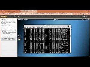 Manage Linux Processes 7 5 5 Lab