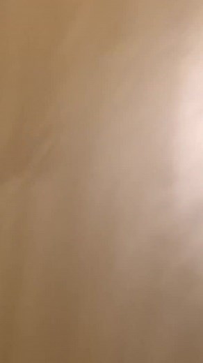 Adorable Cat with a Condescending Face