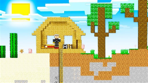 *Real* working 2D Minecraft