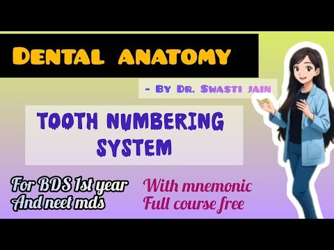 Basic Concepts Of Tooth Numbering System|Dental Anatomy|Dental|BDS|#dentist#neet#dentaleducation