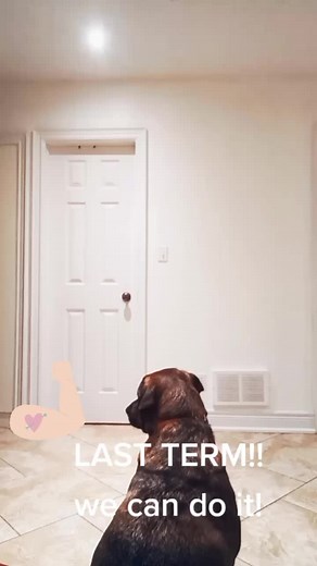 Denise Chavez on TikTok