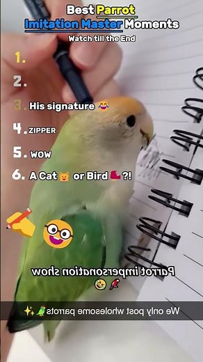 Opera Parrot: The Best Singing Parrot You'll Ever Hear!