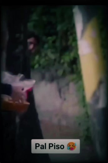 Videos de BONGO AND RABBITS (@bongoand) con “sonido original - BONGO AND RABBITS”