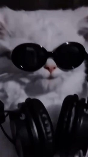 ٢٨ يناير، ٢٠٢٦