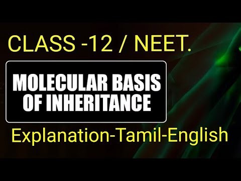 8-MOLECULAR BASIS OF INHERITANCE (PROCESS OF TRANSCRIPTION IN PROKARYOTES).