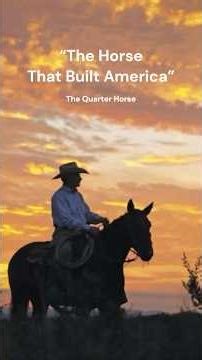 The Horse That Built America #QuarterHorse #HorseHistory #AmericanWest #Cowboys #quarterhorse