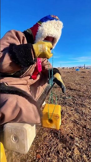 Ideal Conditions for Using Lick Blocks #farming#greatfarm #sheep #cow #goat #farm