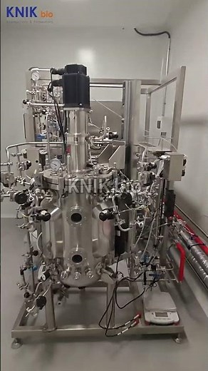 100L Mammalian Cell Bioreactor with Magnetic Mechanical Agitator | Gentle Stirred-Tank Cell Culture