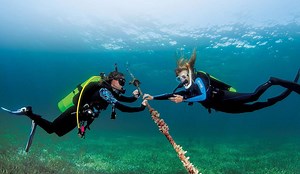 A Safe Habit: Safety Stops as Standard Procedure - Dive Training Magazine | Scuba Diving Skills, Gear, Education