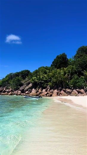 Find me a more perfect beach 🤗🌊🐠 #beachvibes #seychelles #summer #seychellestiktok🇸🇨 #ocean