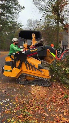 Jireh Tree Services Landscaping