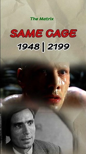 Why The Matrix and Bicycle Thieves Are the Same Film