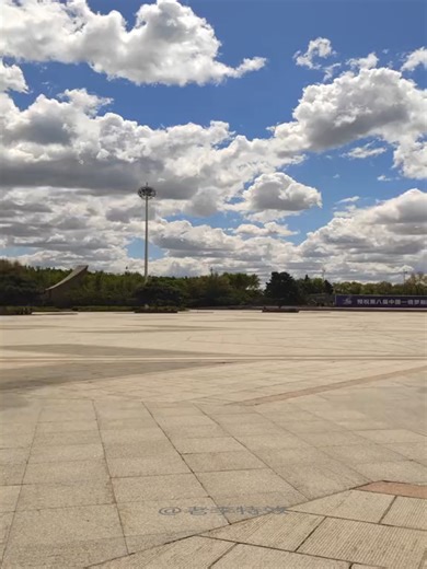 Vegetable collision effect#fyp