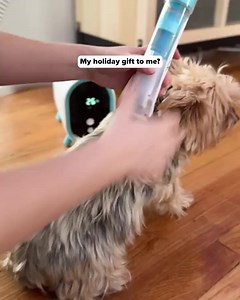 ⚫🔴 Black Friday Sale 🔴⚫: Save up to 50% Free Gifts! Give your furry friend a luxurious grooming experience at home, without the noise or mess! 🐾 Shop now ➡️ https://uprootclean.com/pages/landing-page-pc-004-1 ✂️Stress-free, quiet grooming ✅ Keeps pets calm and comfortable 🎁 Free gifts with every purchase 🏠 Bring the salon to your living room! Act fast before this deal ends! | Uproot Clean