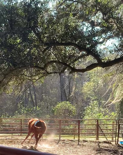 Kim Mcghee (@kimmcghee)’s videos with original soundKim Mcghee