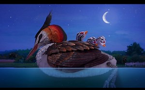 【Hello World 你好世界】【10集全】【1080p高分】儿童自然科普动画片 2.从父亲到儿子