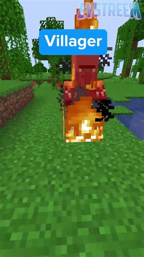 Identifying the Smartest Minecraft Mob Challenge