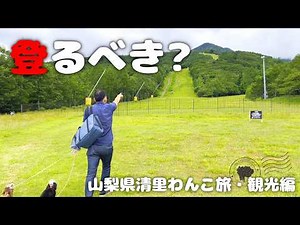 【犬連れ旅行山梨清里観光】お高いリフト乗ってみる?清里テラスと道の駅南清里を巡る🐶🐶🐾1泊2日わんこ旅3/3 2024.7