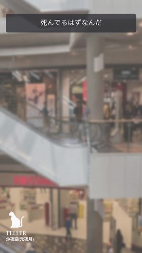 Exploring Text Messaging in a Tokyo Shopping Mall