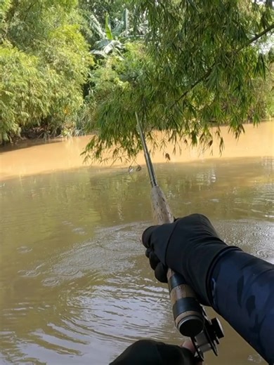 Ultimate Guide to Micro Fishing Techniques