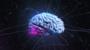 3d Animated Brain Luminous Neural Pathways Stock Footage Video (100% Royalty-free) 1111351775 | Shutterstock